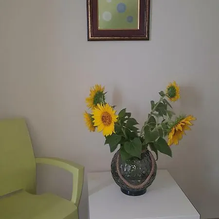 The Yellow House Pensionat *